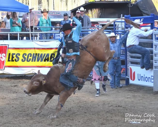 Bull rider holding on through a spinning buck in the Auburn rodeo arena